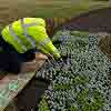 Blyth Beach Carpet Bedding