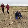 Tree Planting 1