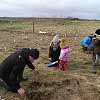 Tree Planting 1