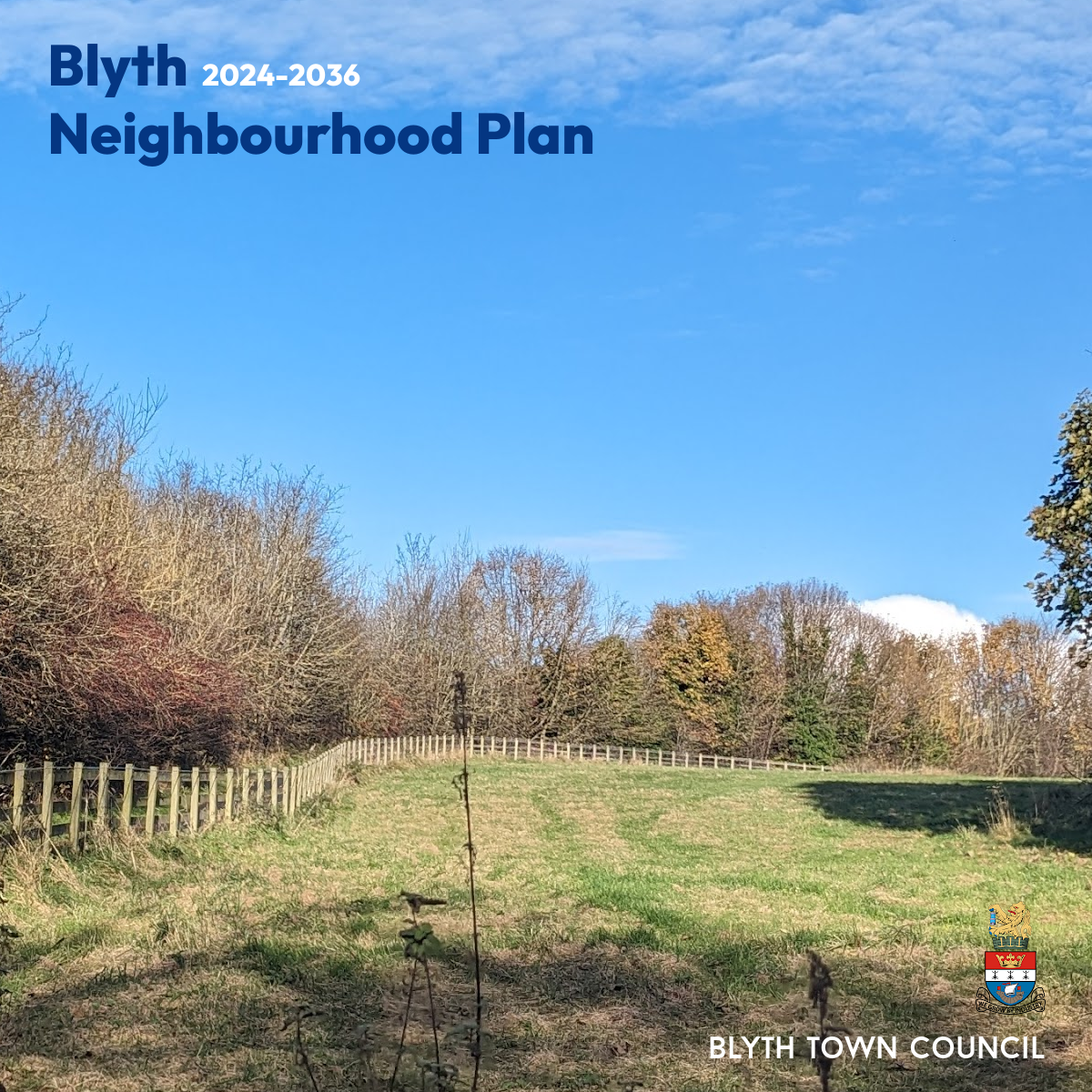 Neighbourhood Plan